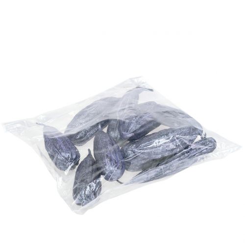 Floristik24 Luffa Fruit Violet 14cm – 20cm 10 ks