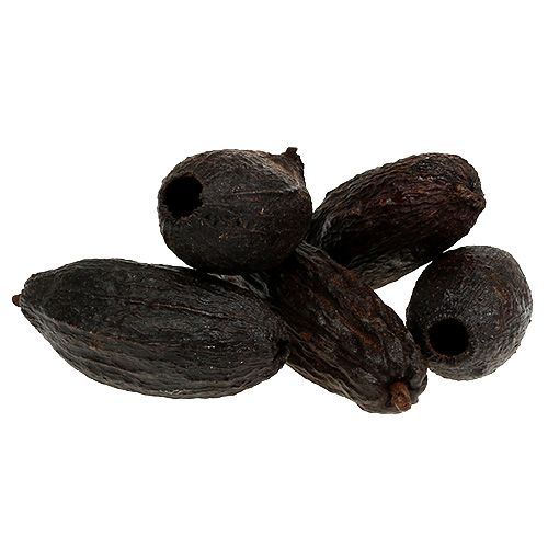 položky Kakao ovoce přírodní 10-18cm 15 ks
