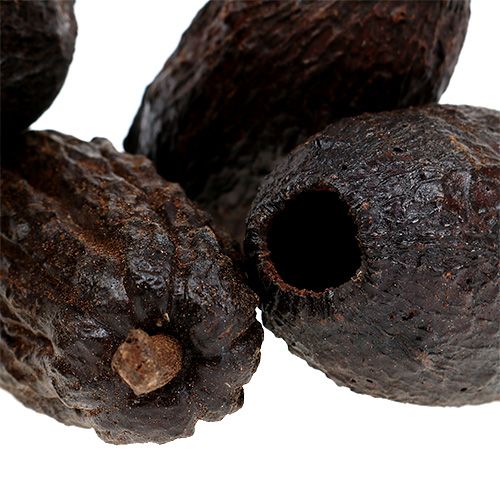 položky Kakao ovoce přírodní 10-18cm 15 ks