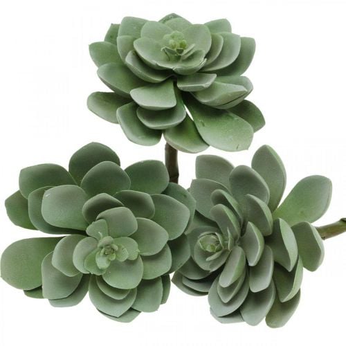 Umělé sukulentní deco umělé rostliny zelené 11×8,5cm 3ks