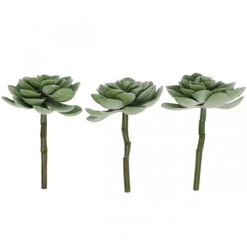 Floristik24 Umělé sukulentní deco umělé rostliny zelené 11×8,5cm 3ks