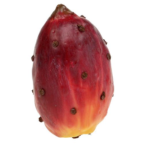 položky Umělá opuncie různé barvy 8,5cm 3 ks