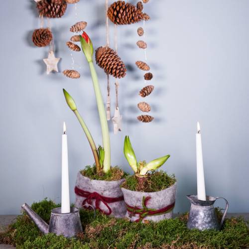 Floristik24 Džbán svícnový starožitný vzhled V12/9cm 2ks