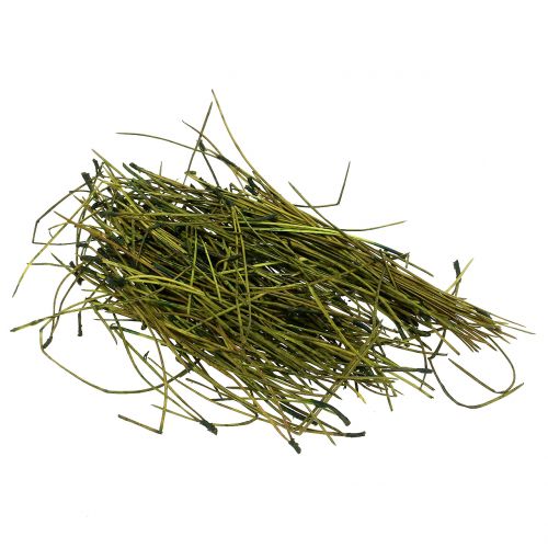 Floristik24 Jehličí zelené 400g