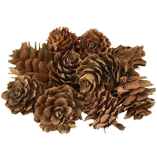 Přírodní dekorace z borových šišek v síťce 2,5-3,5 cm 300 g