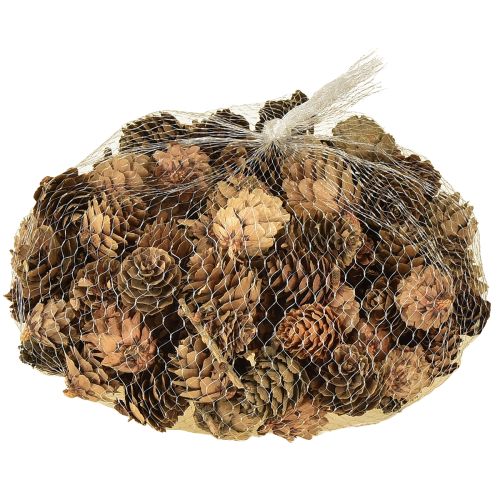 položky Přírodní dekorace z borových šišek v síťce 2,5-3,5 cm 300 g