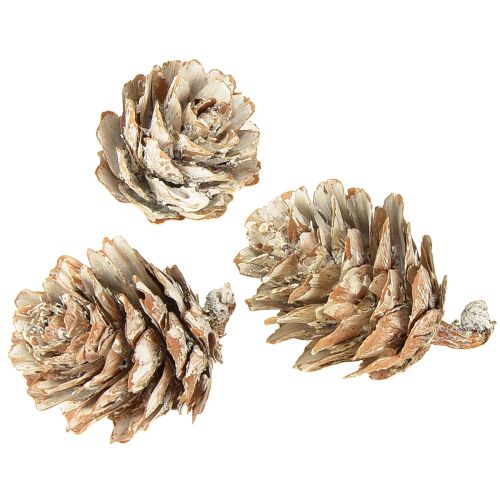 položky Bílé šišky, dekorace z malých šišek v síťce, 2,5-3,5 cm, 500 g