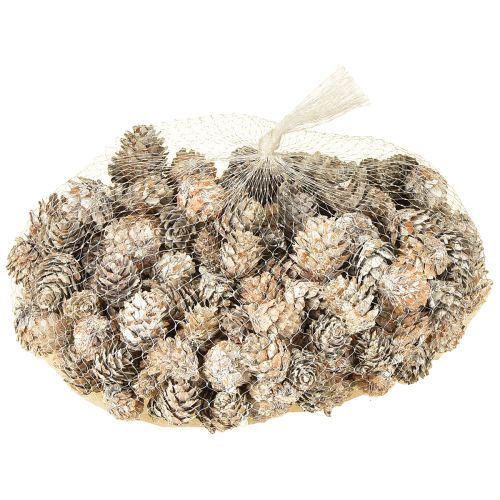položky Bílé šišky, dekorace z malých šišek v síťce, 2,5-3,5 cm, 500 g