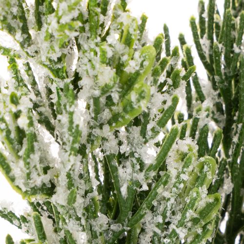 Uměle zasněžená borovicová větvička pro květinová aranžmá a adventní dekorace, 40 cm, 3 kusy | Floristik24.cz