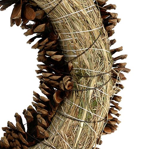 Floristik24 Šiškový věnec kulatý plochý Ø30cm