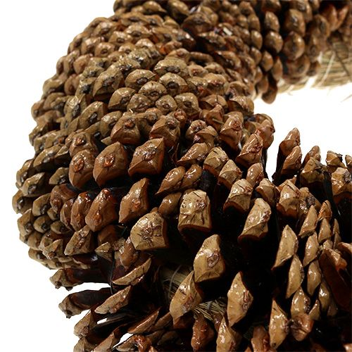 Floristik24 Šiškový věnec kulatý Ø27cm