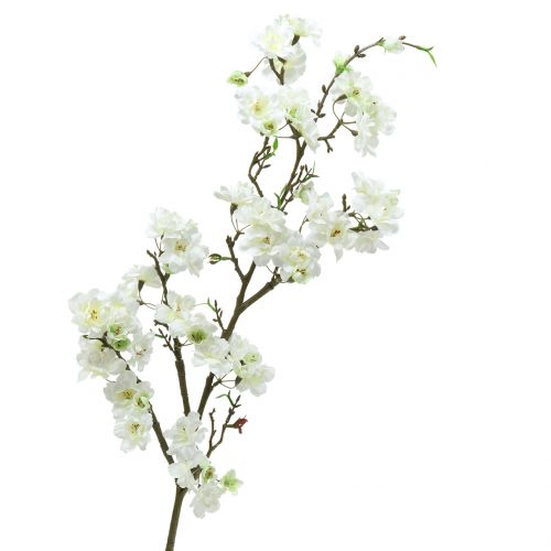 Floristik24 Větev třešňového květu bílá 105cm