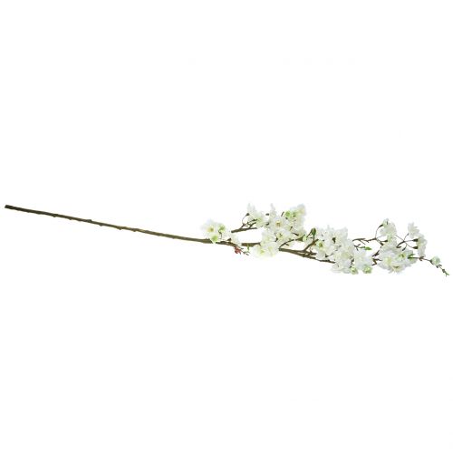 Floristik24 Větev třešňového květu bílá 105cm