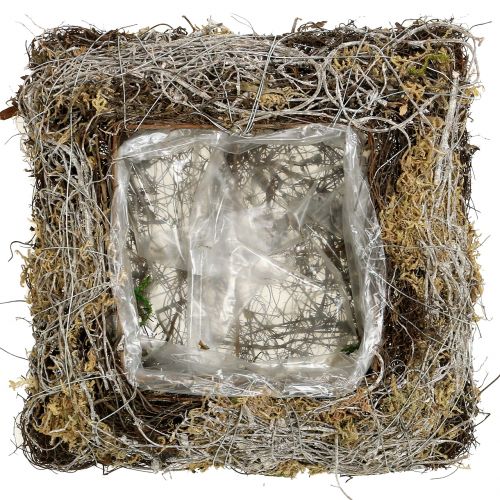 Floristik24 Polštářový mech, liána 25cm x 25cm