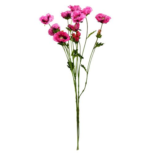 Floristik24 Poppy Pink 63cm 3ks