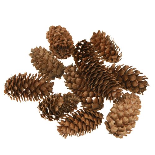 Malé dekorativní přírodní šišky z jedlovce adventní 3-4cm 100g
