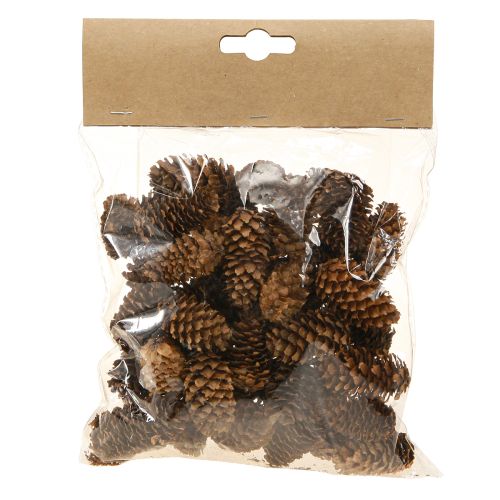 Floristik24 Malé dekorativní přírodní šišky z jedlovce adventní 3-4cm 100g