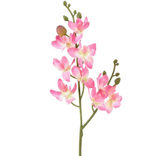 Floristik24 Malá orchidej Phalaenopsis umělý květ růžový 30cm