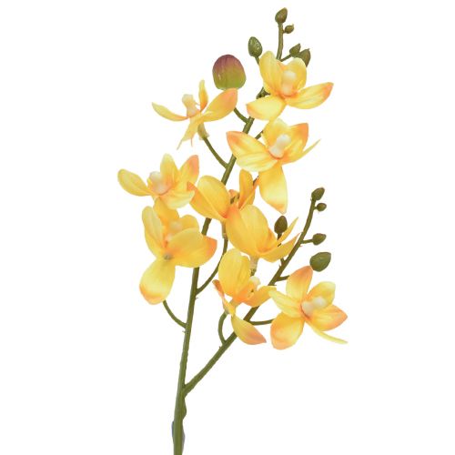 Floristik24 Malá orchidej Phalaenopsis umělá žlutá 30cm
