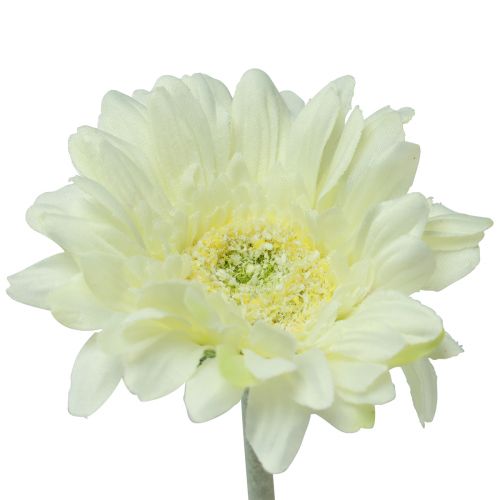 položky Umělé květiny Gerbera bílá 45cm