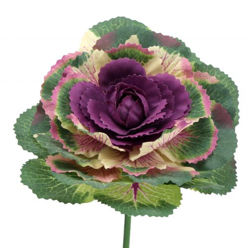 Floristik24 Umělé zelí fialové, zelené 25cm 6ks