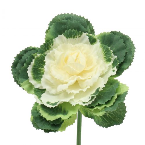 Floristik24 Umělé zelí bílé, zelené 25cm 6ks