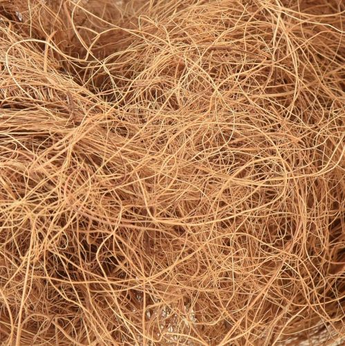 Floristik24 Kokosové vlákno přírodní rostlinné vlákno přírodní vlákno řemeslný materiál 1kg