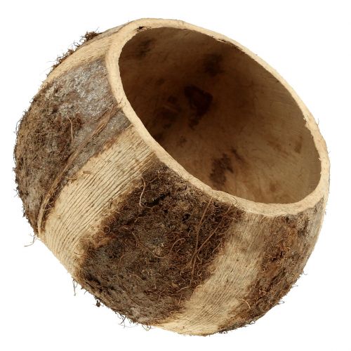 položky Kokosová skořápka přírodní 5ks