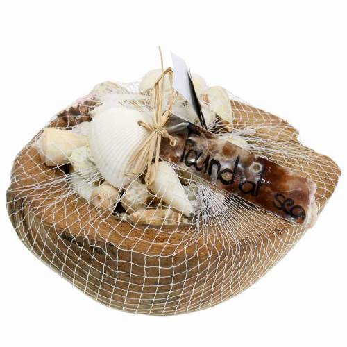 Floristik24 Dekorace z jižního moře kokos s mušlemi 20cm 250g