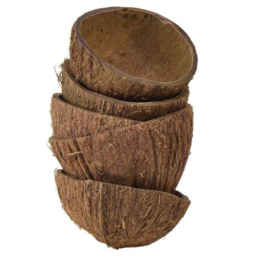 Dekorace kokosové misky přírodní půl kokosky Ø7-9cm 5ks