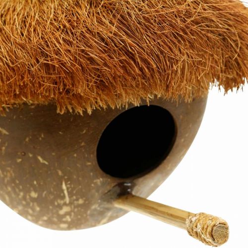 Floristik24 Kokos jako budka, ptačí budka k zavěšení, kokosová dekorace Ø16cm L46cm