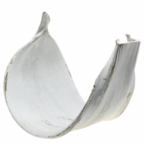 Floristik24 Kokosová skořápka kokosový list umytý na bílo