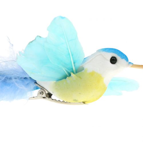 Floristik24 Sortiment Kolibri na klip 17cm 12ks