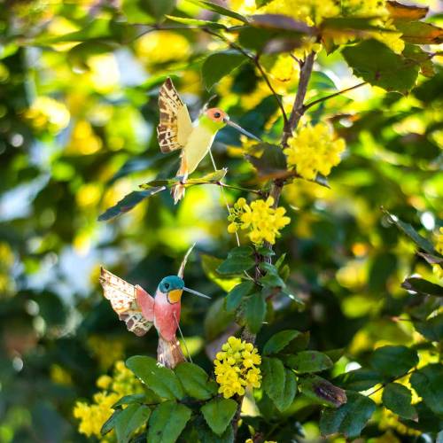 Floristik24 Kolibřík s drátem 5,5cm L22cm sortiment 12ks