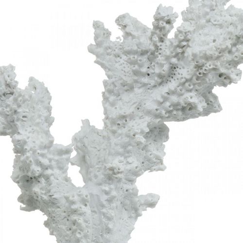 Floristik24 Námořní dekorace korálově bílá umělá dekorace stojan 11×12cm