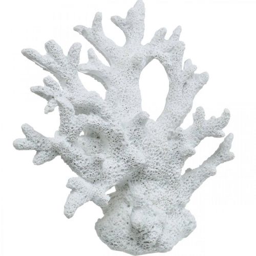 Floristik24 Námořní dekorace korálově bílá letní dekorace 14,5×14,5cm