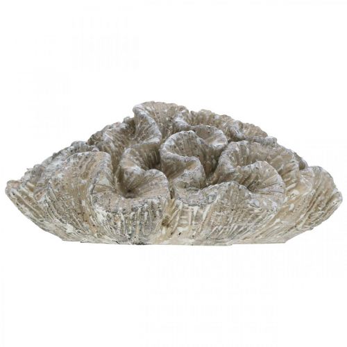 Floristik24 Námořní dekorace korálová béžová bílá umělá polyresin 23x20cm