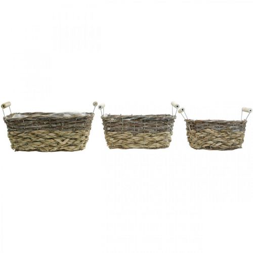 položky Koš na rostliny s držadly, čtvercová košíková mísa, přírodní květináč na výsadbu shabby chic umytá bílá L30/25,5/21 cm V12/11/10 cm sada 3 ks