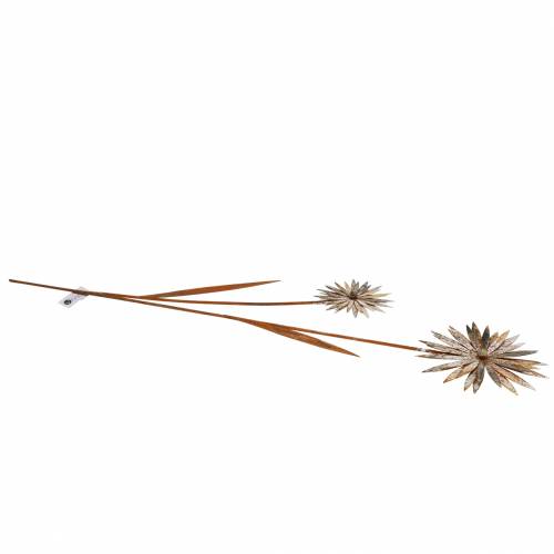 Floristik24 Zahradní hmoždinka chrpa patina kov bílá Ø10 / 15cm H66cm