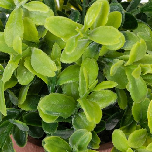 položky Umělá rostlina v květináči s realistickou texturou pro vnitřní použití a dekoraci, 18 cm, 3 kusy