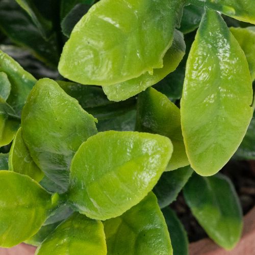 položky Umělá rostlina v květináči s realistickou texturou pro vnitřní použití a dekoraci, 18 cm, 3 kusy