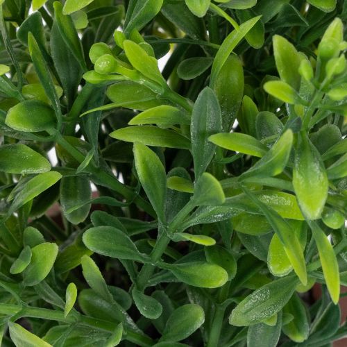 položky Umělá rostlina v květináči s realistickou texturou pro vnitřní použití a dekoraci, 18 cm, 3 kusy