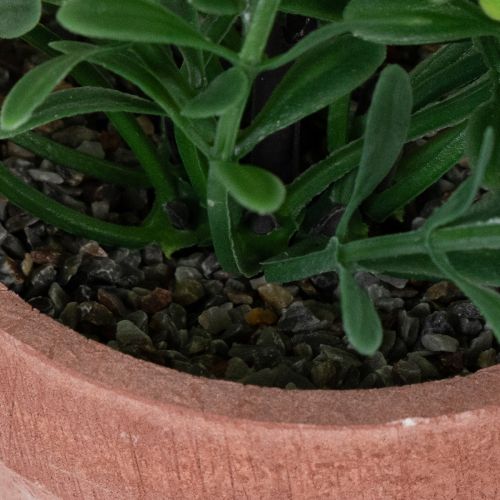 položky Umělá rostlina v květináči s realistickou texturou pro vnitřní použití a dekoraci, 18 cm, 3 kusy