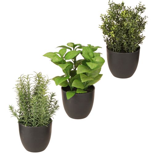 položky Umělé bylinky bazalka tymián rozmarýn Ø11,5cm 3ks