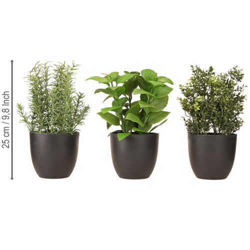 položky Umělé bylinky bazalka tymián rozmarýn Ø11,5cm 3ks