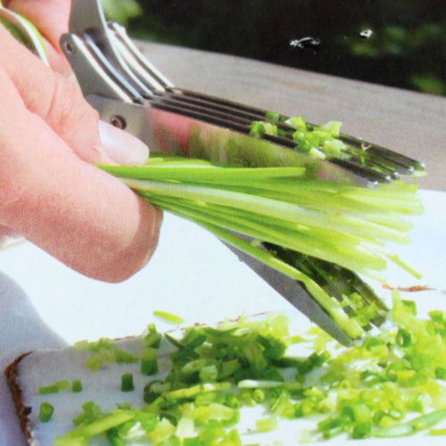 Floristik24 Nůžky na pažitku s 5 čepelemi