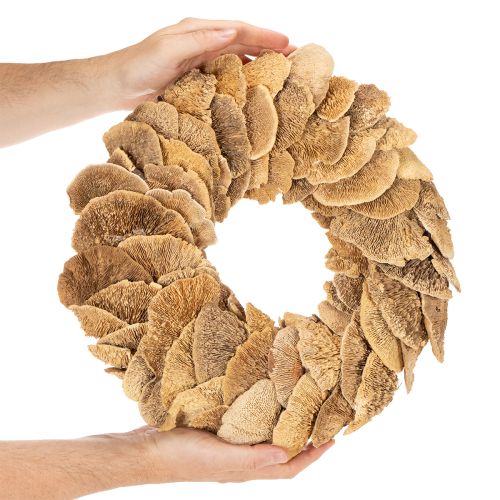 Věnec z houby, přírodní barva, na dekoraci dveří nebo zdi, 37 cm | Floristik24.cz