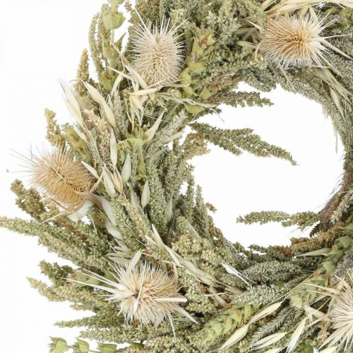 Floristik24 Přání do věnce ze sušených květin bodlák tráva zrno Ø28cm