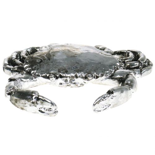 Floristik24 Deco rakovina starožitné stříbro 12cm