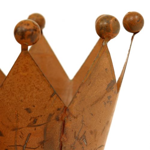 Floristik24 Koruna lucerny na zapíchnutí do roštu Ø4cm V7cm